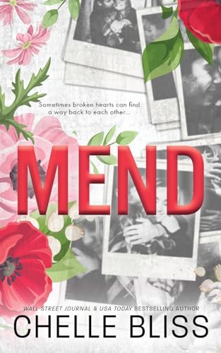 Mend book cover