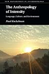 The Anthropology of Intensity (New Departures in Anthropology)
