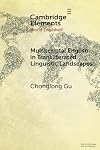 Multiscriptal English in Transliterated Linguistic Landscapes (Elements in World Englishes)