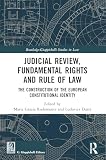 Judicial review, fundamental rights and rule of law