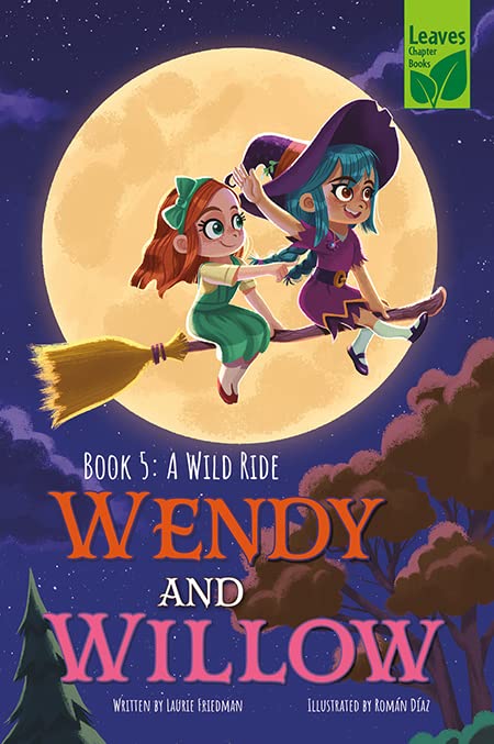 A Wild Ride book cover