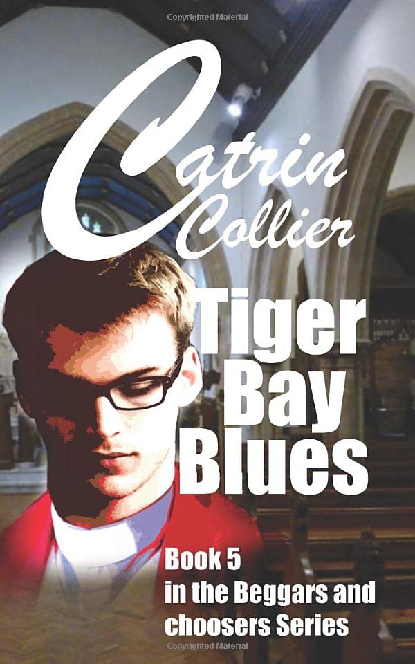 Tiger Bay Blues book cover