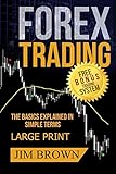 Forex Trading The Basics Explained In Simple Terms Free Bonus Trading System Forex Forex For Beginners Make Money Online Currency Trading Foreign Exchange Trading Strategies Day Trading