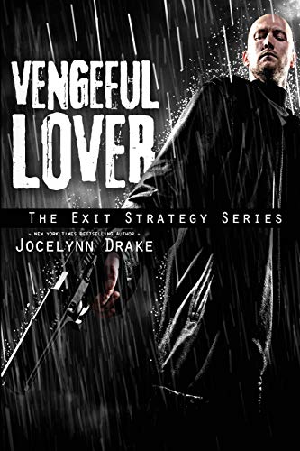 Vengeful Lover book cover