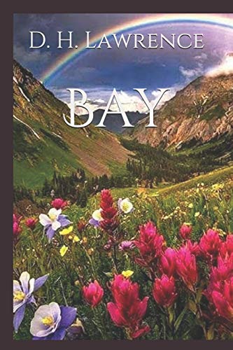 Bay book cover