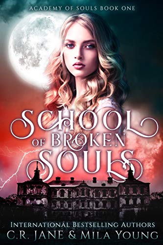 School of Broken Souls cover