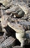 Notebook Alligator Crocodile Reptile Dinosaur Caiman 5 X 8 150 Ruled Pages