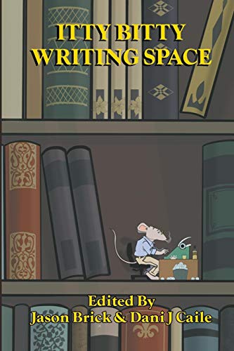 Itty Bitty Writing Space book cover