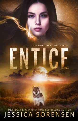 Entice book cover