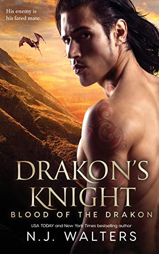 Drakon's Knight book cover