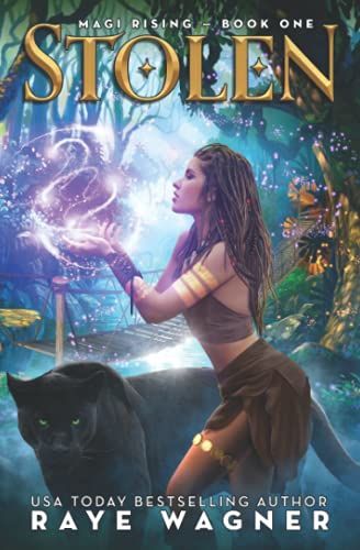 Stolen book cover