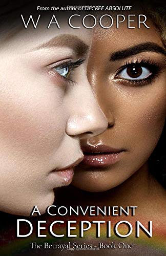 A Convenient Deception book cover