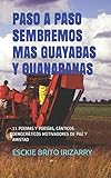 Paso A Paso Sembremos Mas Guayabas Y Guanabanas 11 Poemas Y Poesas Cnticos Democrticos Motivadores De Paz Y Amistad Spanish Edition