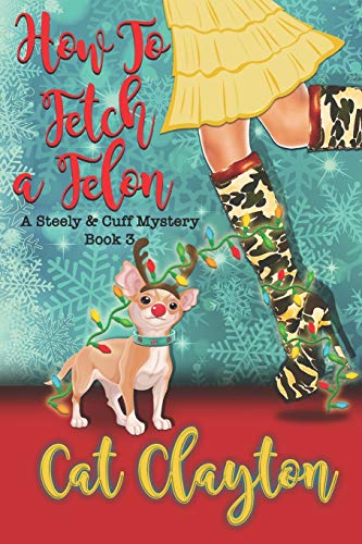 How to Fetch a Felon book cover