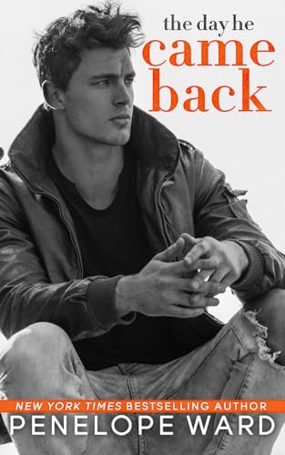 The Day He Came Back book cover