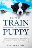 How To Train A Puppy The Beginners Guide To Training A Puppy With Dog Training Basics Includes Potty Training For Puppy And The Art Of Raising A Puppy With Positive Puppy Training