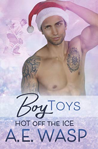 Boy Toys book cover