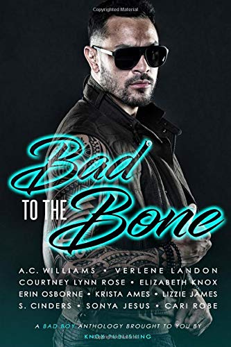 Bad to the Bone book cover
