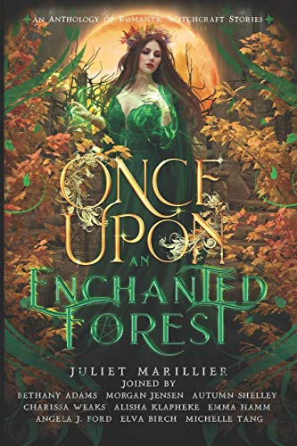 Once Upon an Enchanted Forest book cover