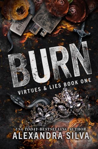 Burn book cover