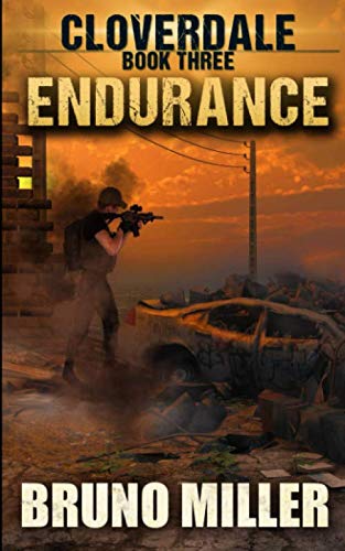 Endurance book cover