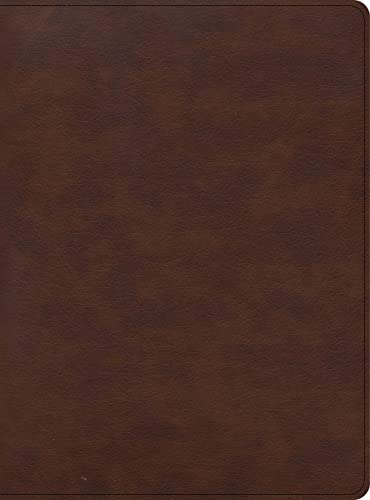 CSB Apologetics Study Bible for Students preview