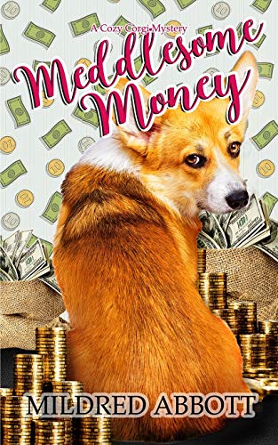 Meddlesome Money book cover