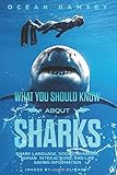 What You Should Know About Sharks Shark Language Social Behavior Human Inter Actions And Life Saving Information