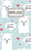 20202021 Monthly Pocket Planner Cute Twoyear 24 Months Monthly Pocket Planner Agenda 2 Year Organizer With Phone Book Password Log Notebook Nifty No Drama Llama Pattern