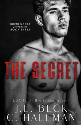 The Secret book cover