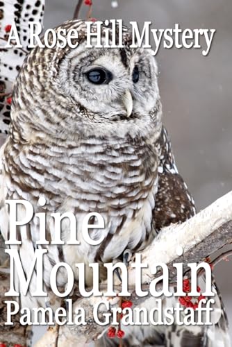 Pine Mountain book cover