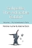 Galipette The Adorable Rabbit