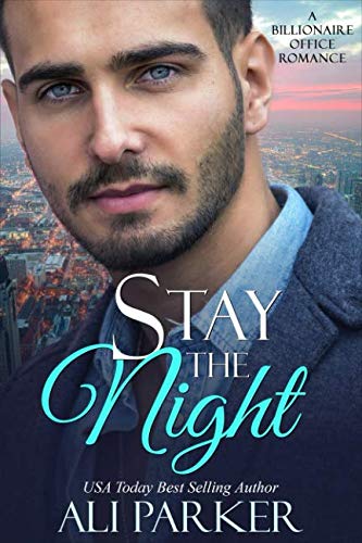 Stay The Night book cover