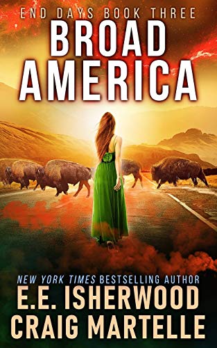 Broad America book cover