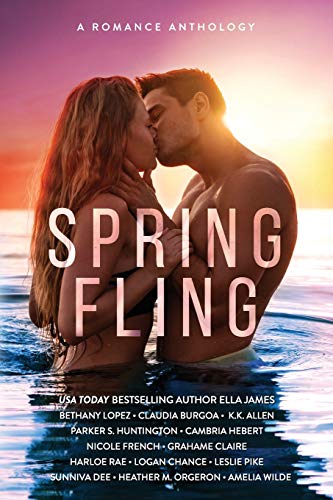 Spring Fling book cover