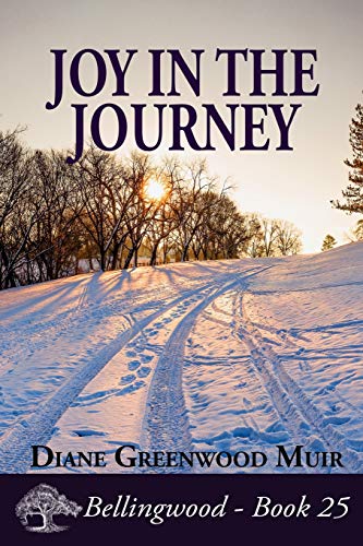 Joy in the Journey book cover
