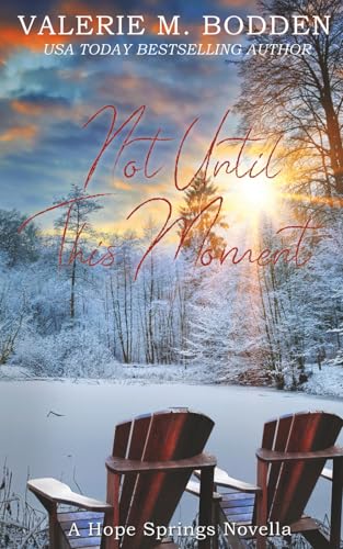 Not Until This Moment book cover