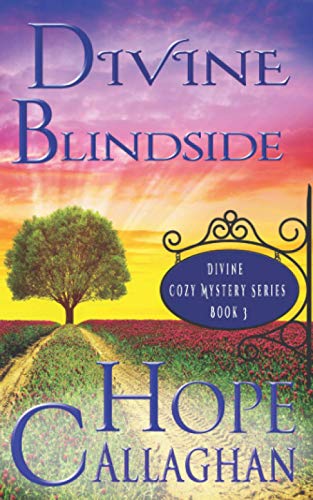 Divine Blindside book cover
