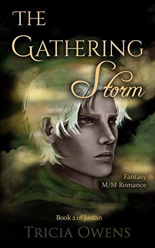 The Gathering Storm book cover