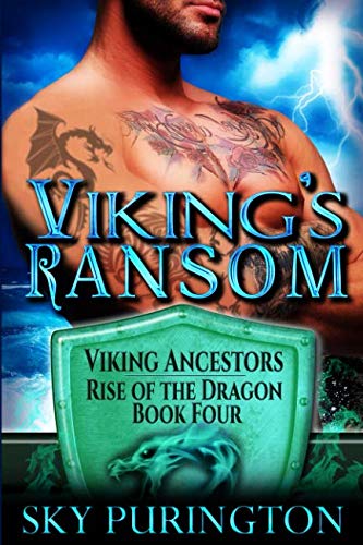 Viking's Ransom book cover