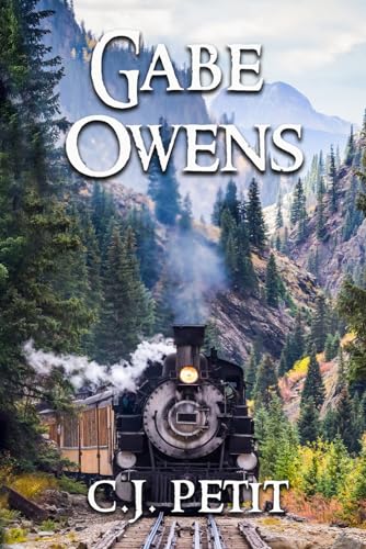 Gabe Owens book cover