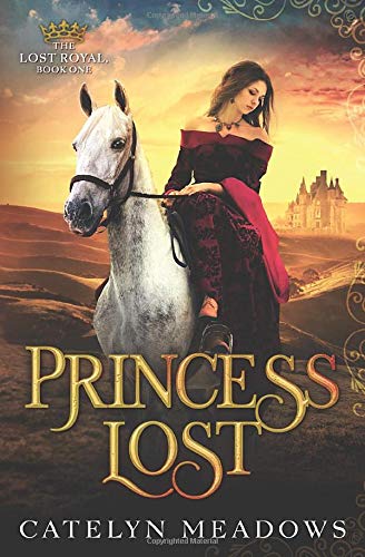Princess Lost book cover