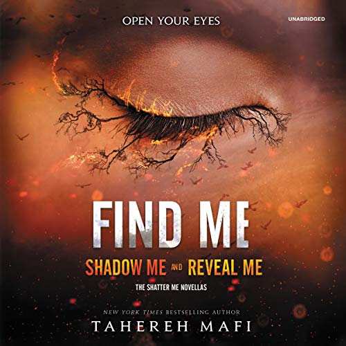 Find Me book cover