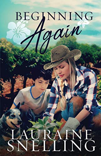 Beginning Again book cover