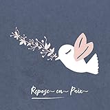 Repose En Paix: Condol%C3%A9ances Livre   Livre D'accompagnement Pour Les Parents, La Famille Et Les Personnes En Deuil   Pendant La Comm%C3%A9moration, L'h%C3%B4pital Ou Les Fun%C3%A9railles   Dire Au Revoir