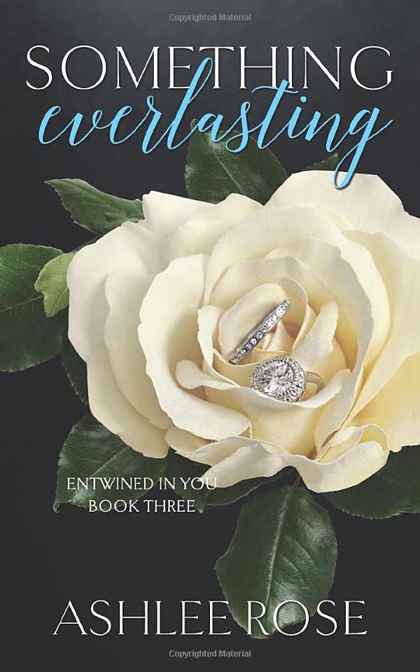 Something Everlasting book cover
