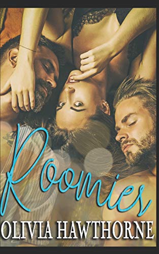 Roomies book cover