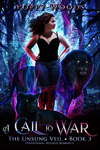 A Call To War book cover