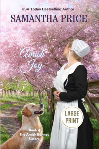 Amish Joy book cover