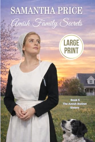 Amish Family Secrets book cover